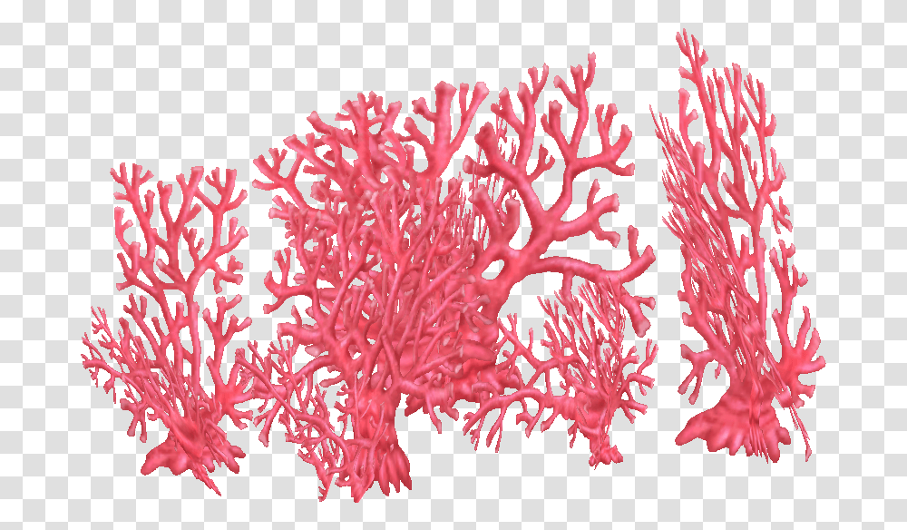 Fire Coral Erry2000 & Krokit Zt2 Download Library Wiki Fire Coral, Sea, Outdoors, Water, Nature Transparent Png