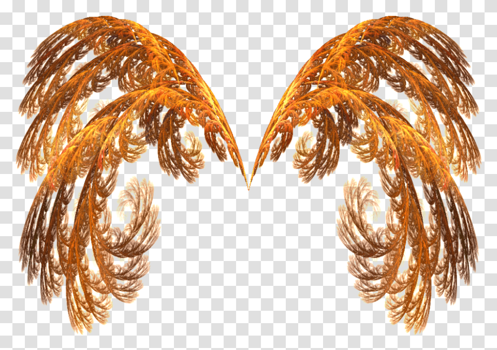 Fire Demon Wings Image With No Wings With Fire, Pattern, Ornament, Fractal, Fungus Transparent Png