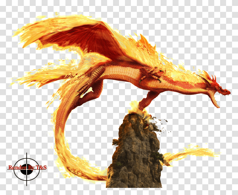 Fire Dragon Banner Library Fire Dragon, Dinosaur, Reptile, Animal, Bird Transparent Png