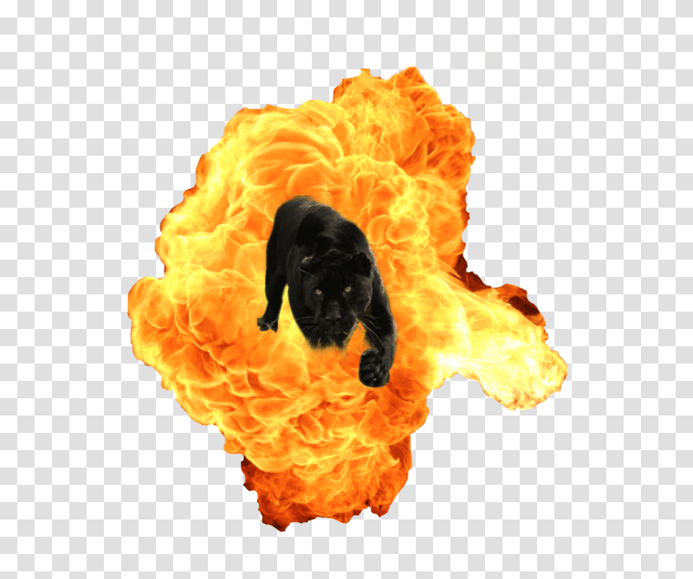 Fire Explosion Explosions, Flame, Bonfire, Dog, Pet Transparent Png