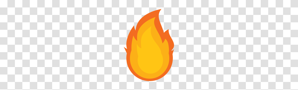 Fire, Flame, Bonfire, Plant Transparent Png