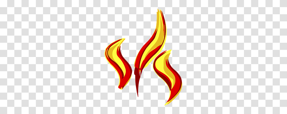 Fire Flame Candle Blaze Warm Flame Styles, Light, Torch Transparent Png
