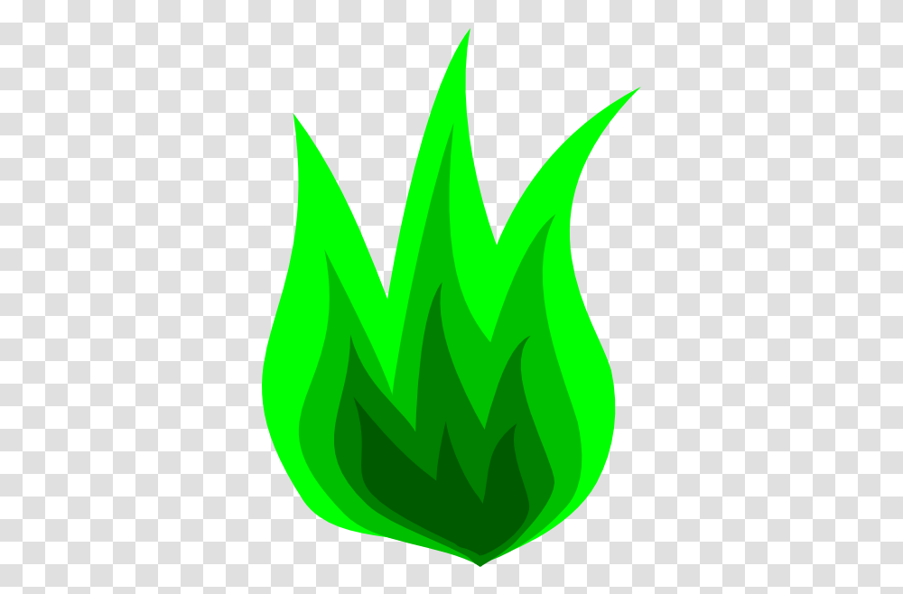 Fire Flame Clip Art Green Flame No Background, Plant, Symbol, Vegetation, Produce Transparent Png