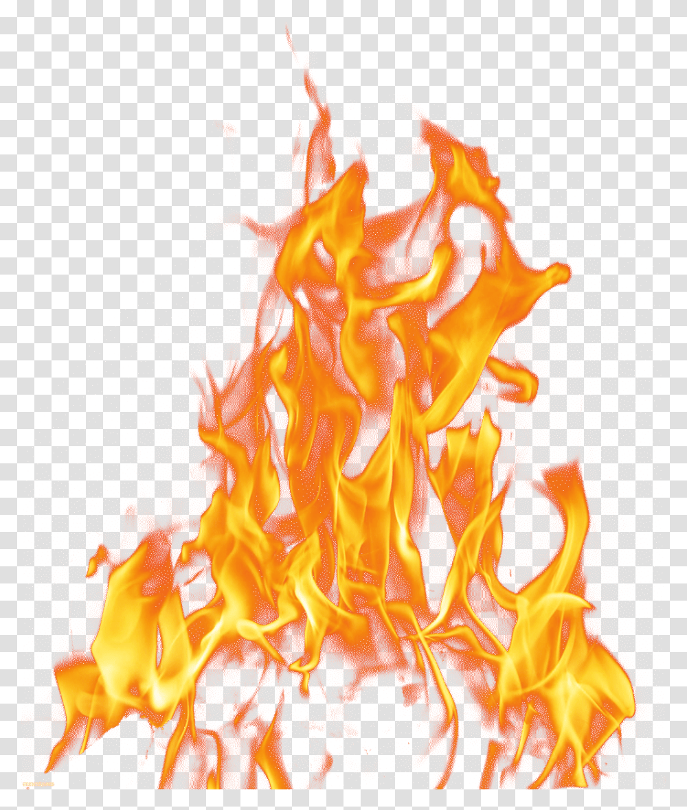 Fire Flame Light Fire, Bonfire Transparent Png
