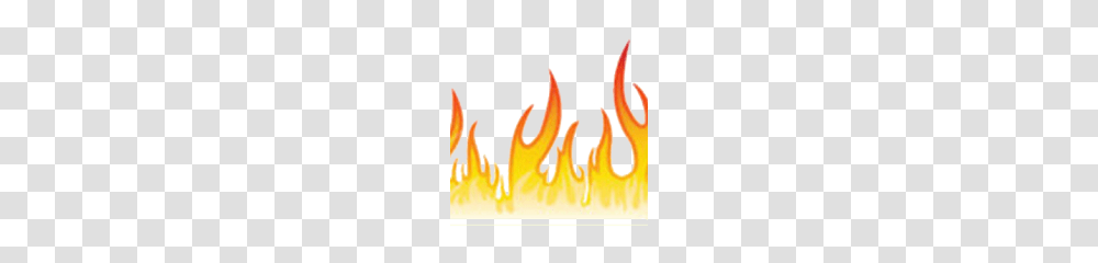 Fire Flames, Animal, Sea Life, Plant Transparent Png