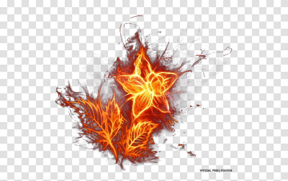 Fire Flower, Bonfire, Flame, Pattern, Fractal Transparent Png