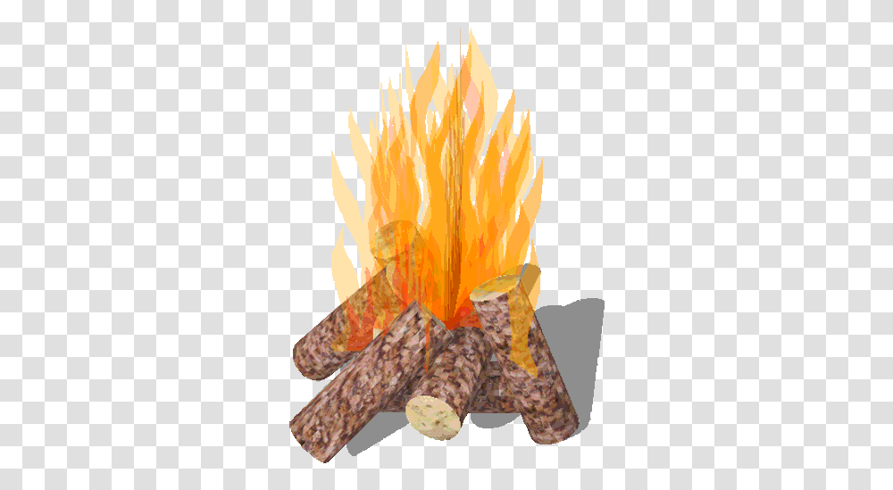 Fire Gif Burning Wood Animated Gif, Plant, Flower, Petal, Flame Transparent Png