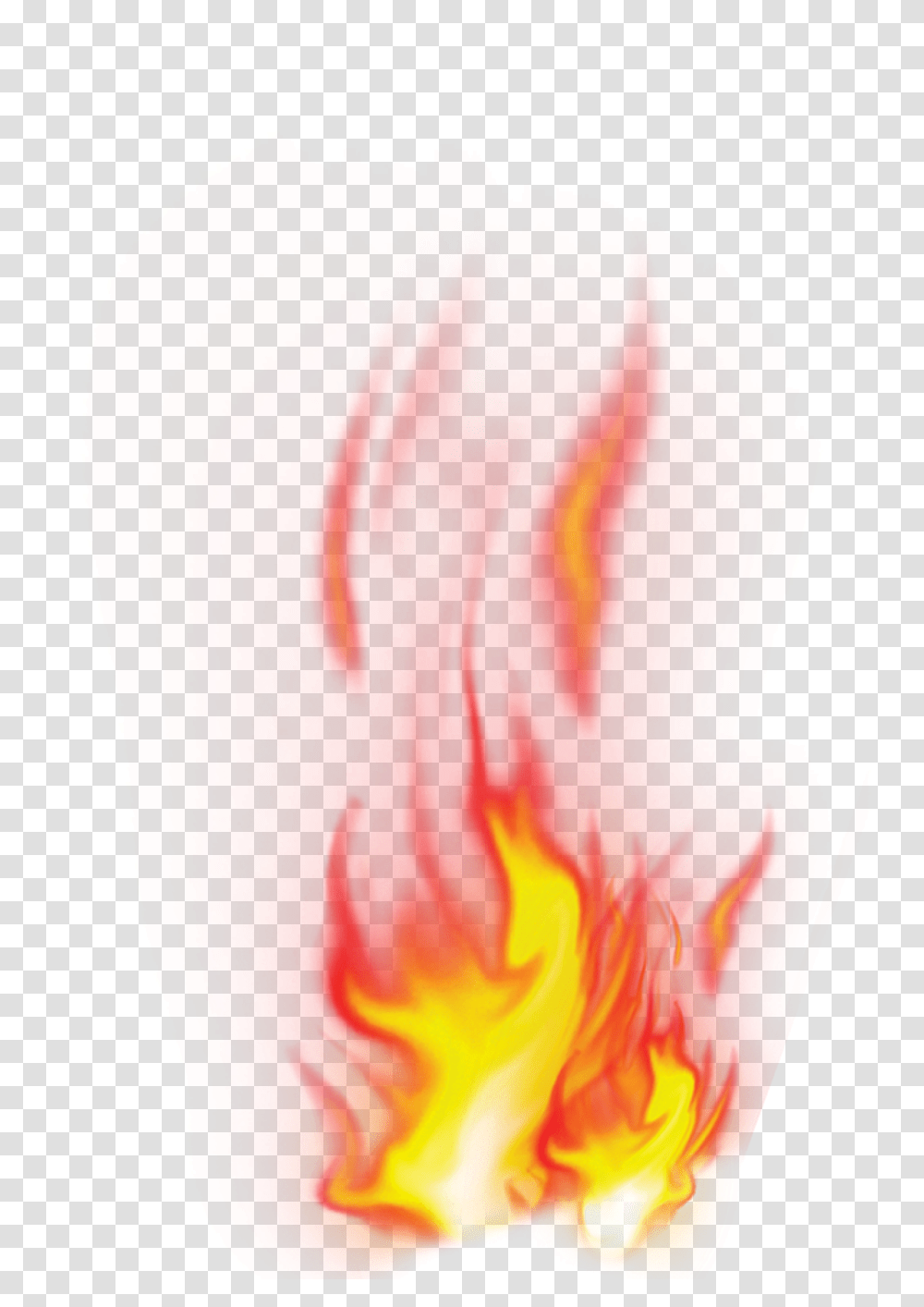 Fire Hd Images, Plant, Petal, Flower, Blossom Transparent Png