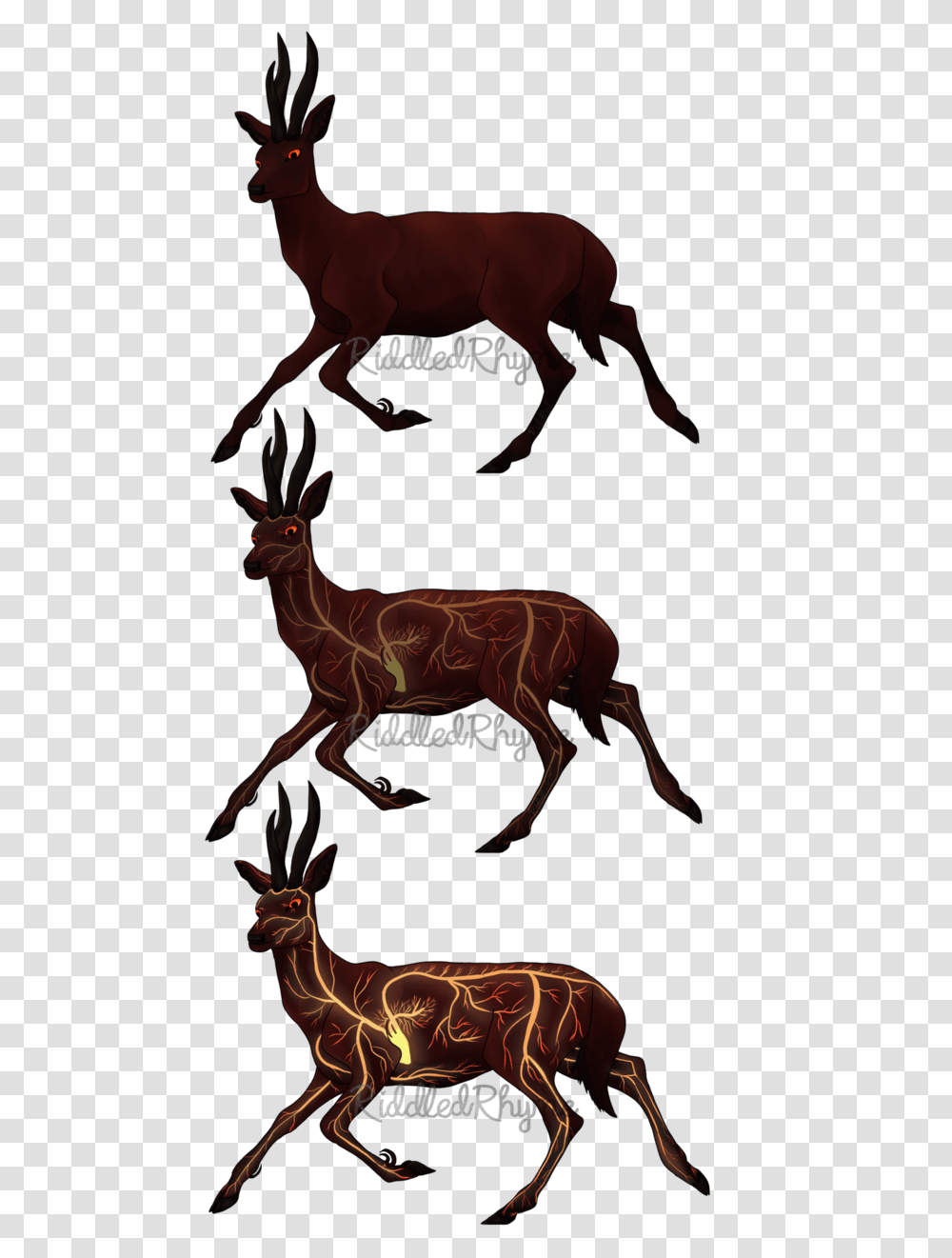 Fire In Your Veins, Antelope, Wildlife, Mammal, Animal Transparent Png