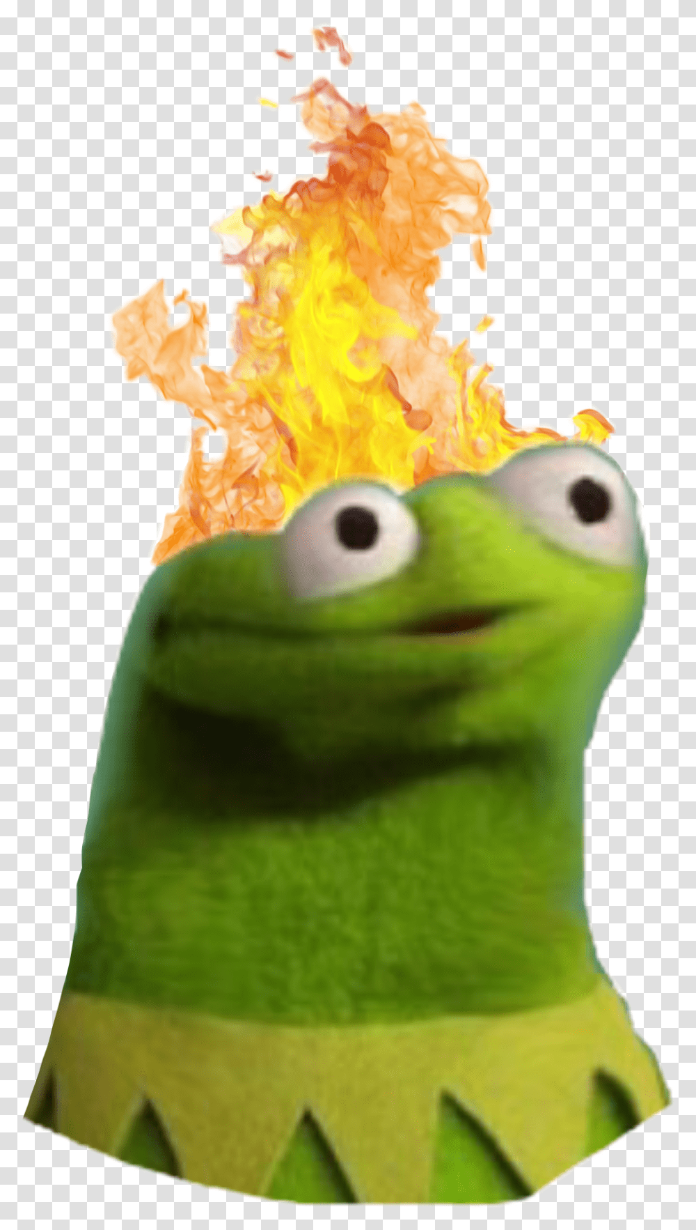 Fire Kermit Derpface Stupidfriends Mylife Lazylooks Derp Kermit The Frog, Animal, Photography, Toy, Plush Transparent Png
