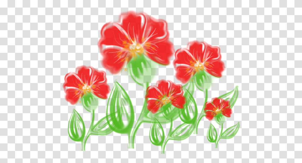 Fire Lily, Plant, Flower, Blossom, Petal Transparent Png