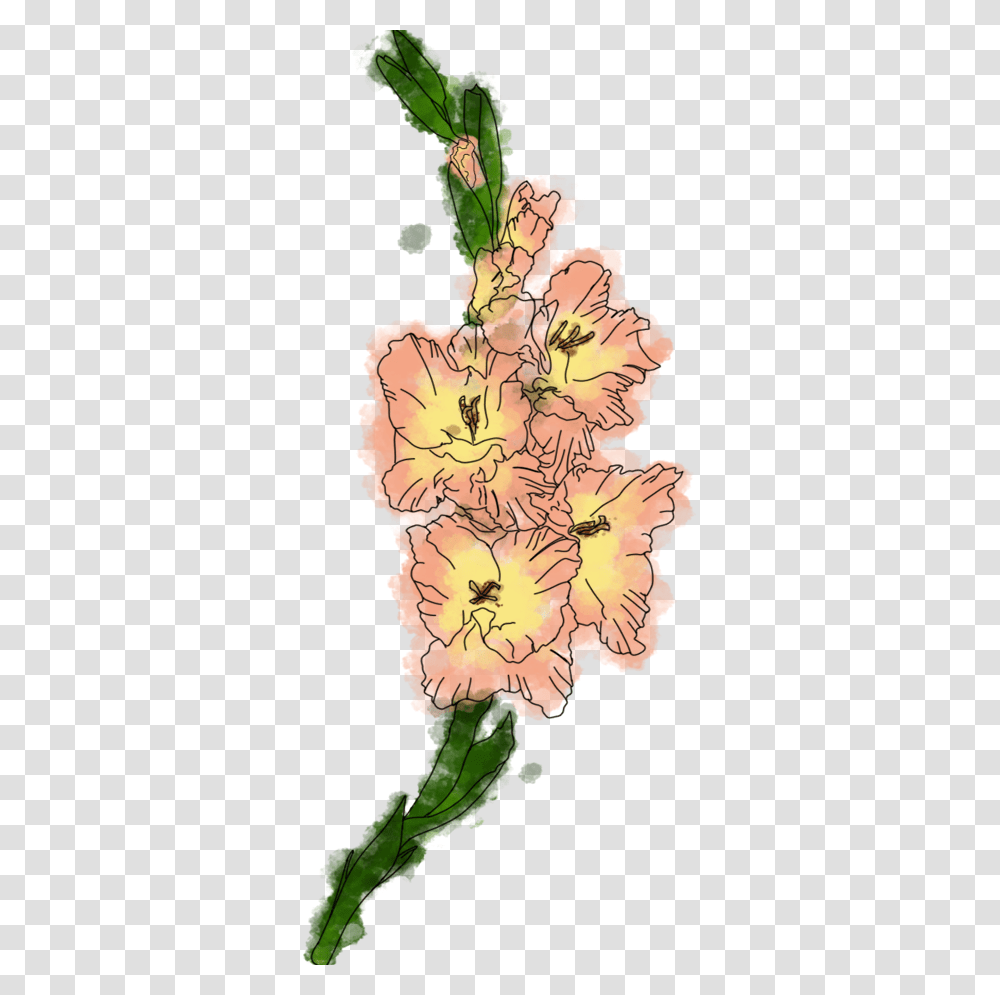 Fire Lily, Plant, Hibiscus, Flower, Blossom Transparent Png