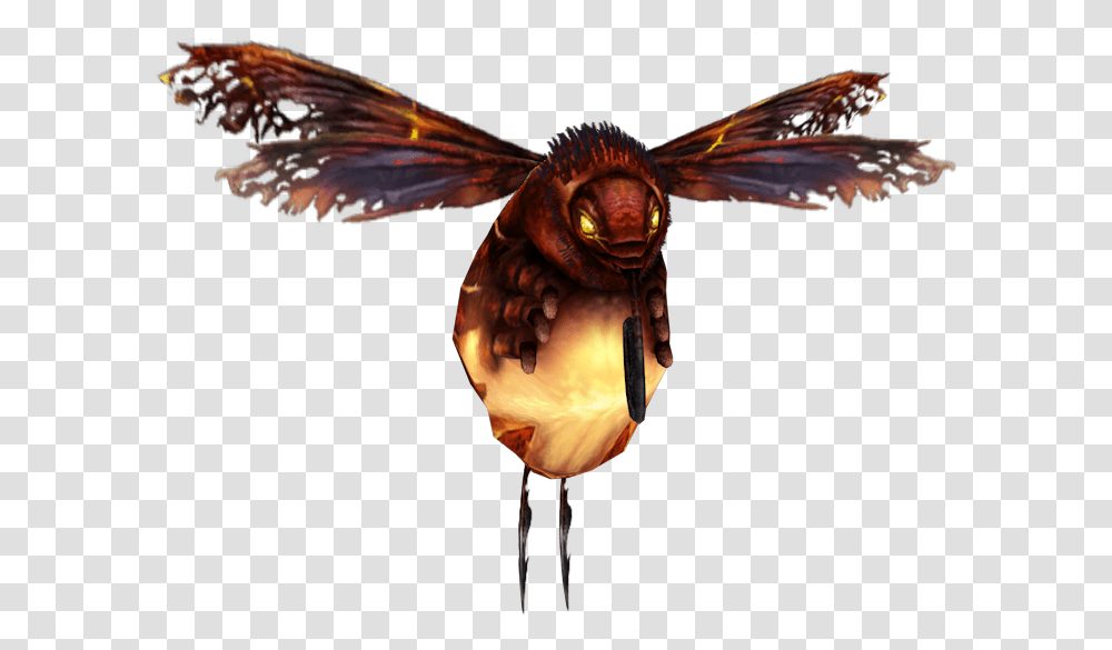 Fire Parasitism, Wasp, Bee, Insect, Invertebrate Transparent Png