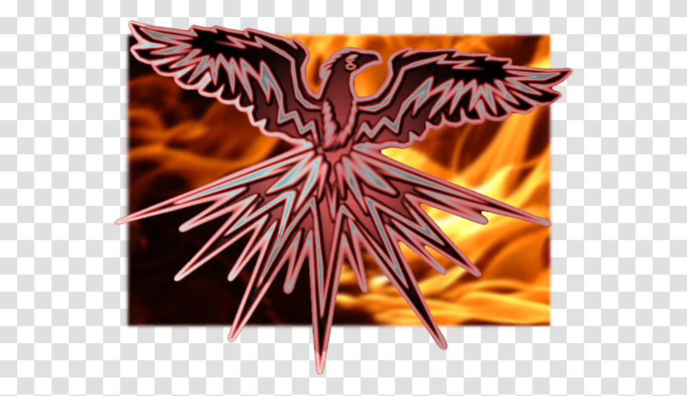 Fire Phoenix, Modern Art, Flame, Star Symbol Transparent Png