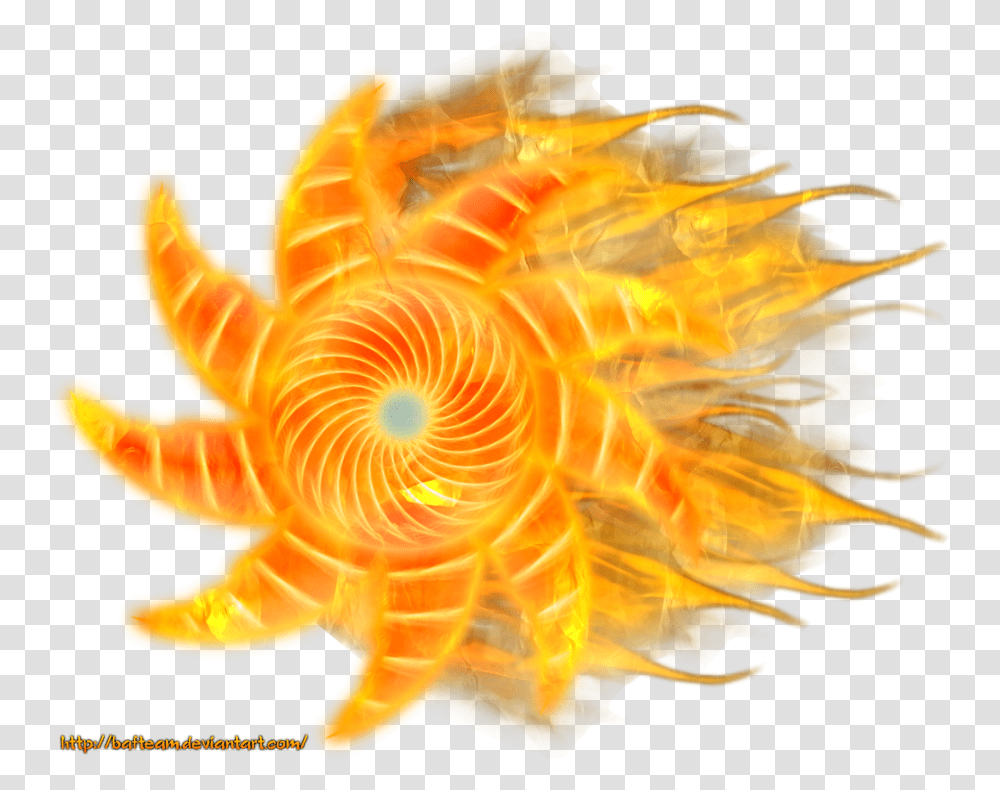 Fire Rasenshuriken, Animal, Sea Life, Invertebrate, Ornament Transparent Png