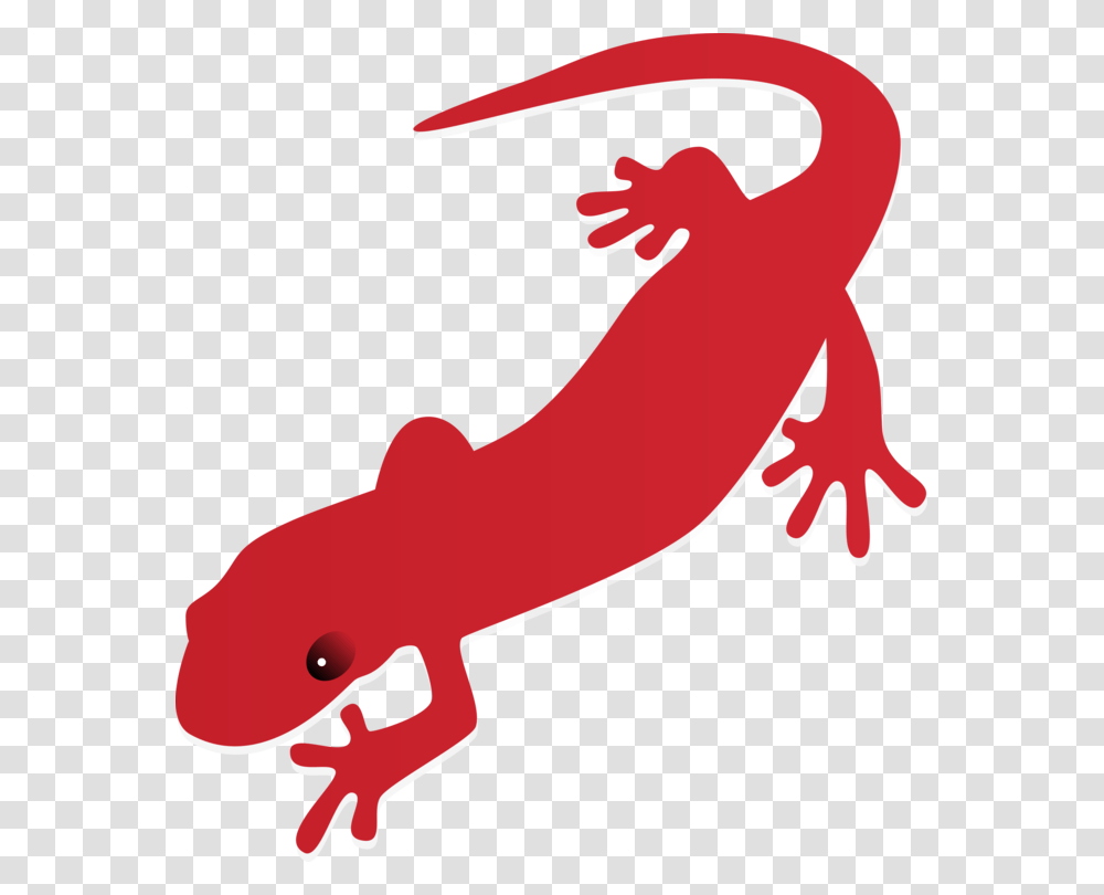 Fire Salamander Newt Drawing Tiger Salamander, Animal, Wildlife, Amphibian, Axe Transparent Png