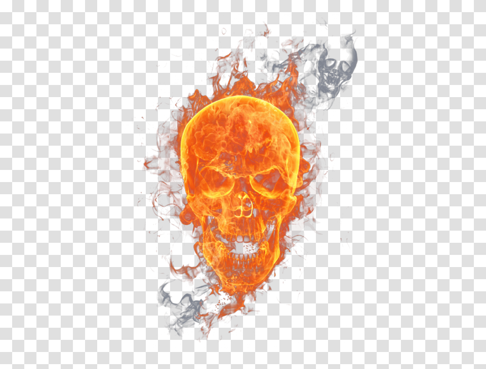 Fire Skull Hd, Bonfire, Flame, Animal, Invertebrate Transparent Png
