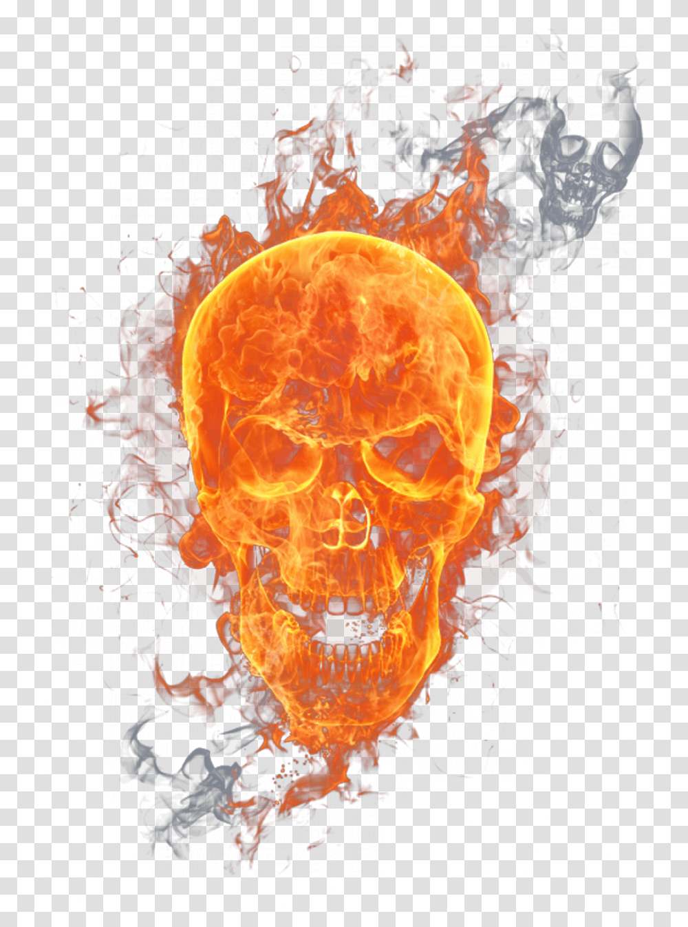 Fire Skull Hd, Flame, Bonfire, Animal, Invertebrate Transparent Png