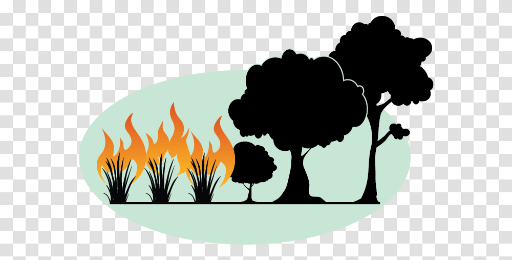 Fire Sparks, Flame, Food, Silhouette Transparent Png