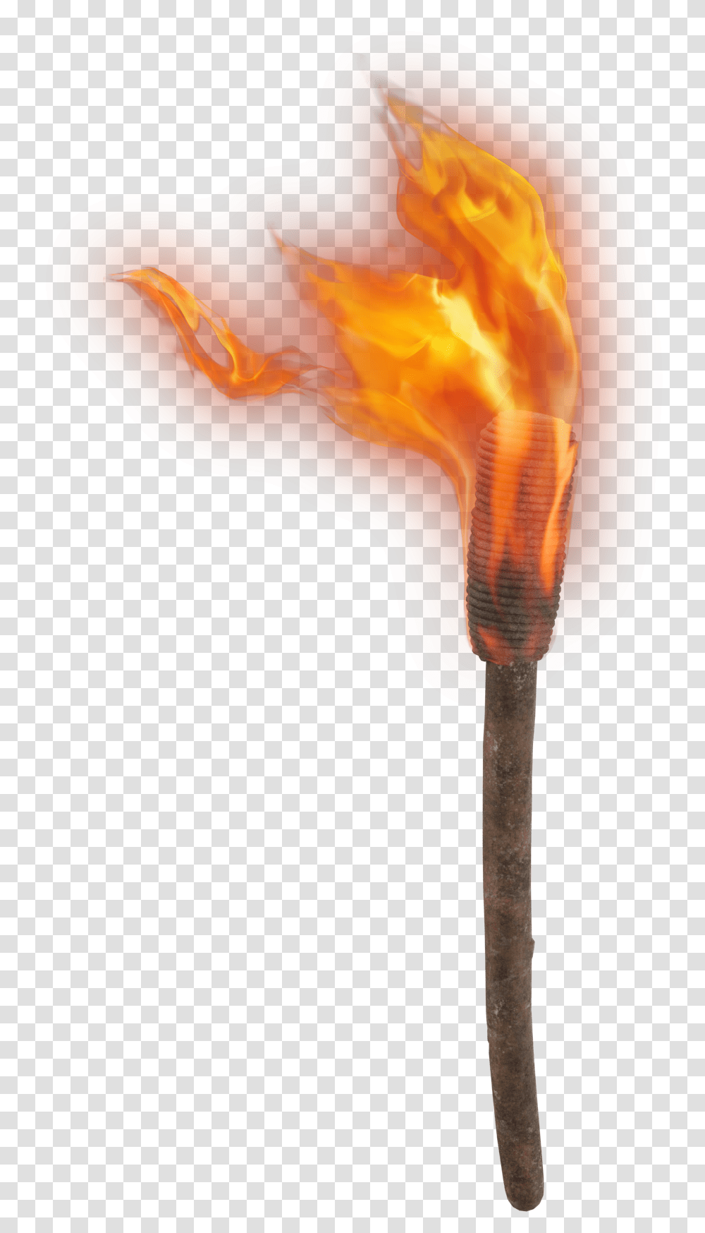 Fire Torch, Brush, Tool, Flame, Light Transparent Png