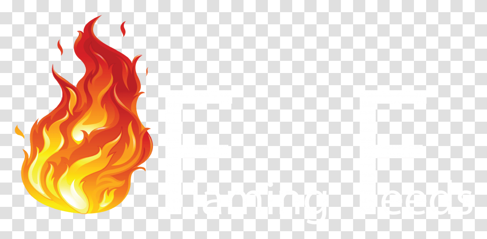 Fire Vector, Alphabet, Bonfire, Flame Transparent Png