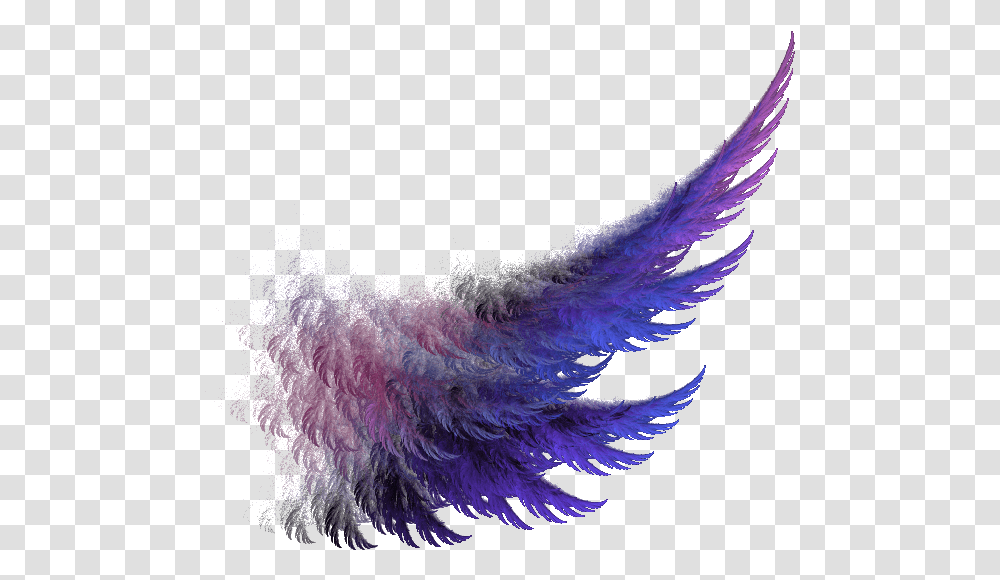 Fire Wings 4 Image For Poster Editing, Bird, Animal, Ornament, Fractal Transparent Png
