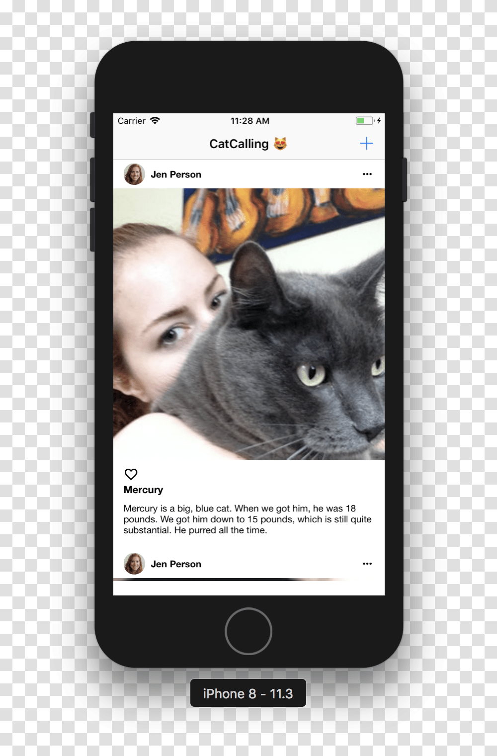 Firebase In App Messaging, Advertisement, Cat, Pet, Mammal Transparent Png