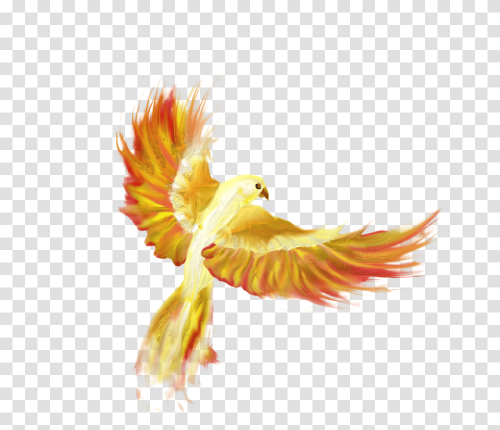 Firebird Clipart Vectors Psd Fire Bird Background, Animal, Flying, Eagle, Flare Transparent Png