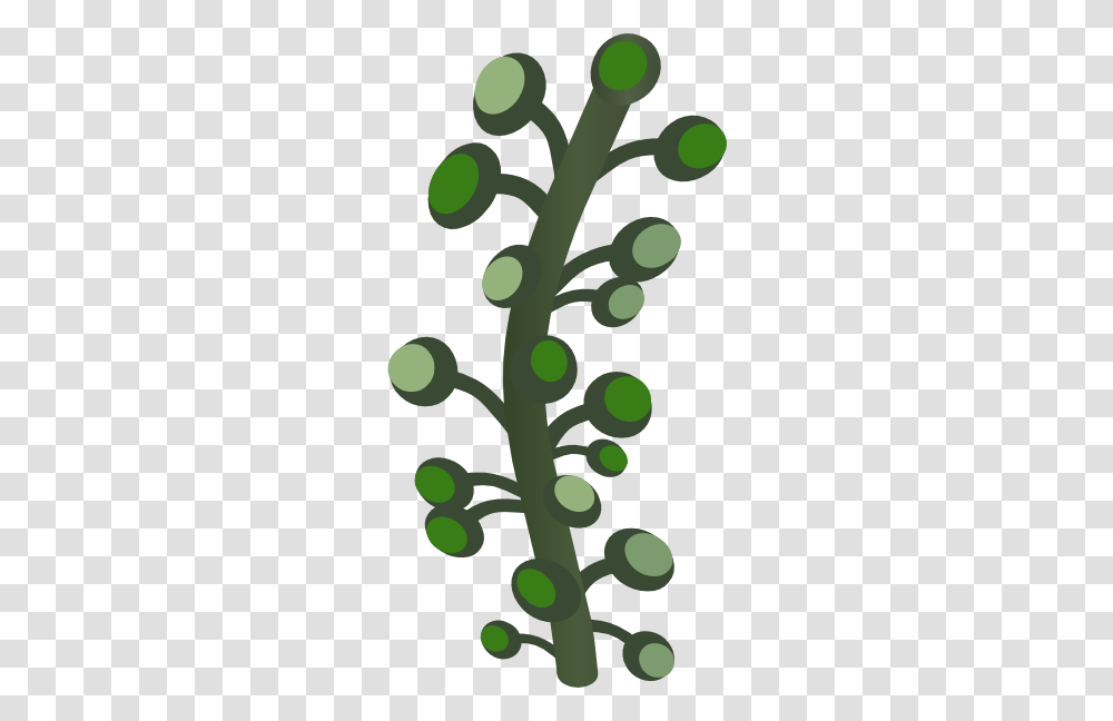 Firebog Underground Bogwillow Clip Arts For Web, Green, Plant, Tree, Cactus Transparent Png
