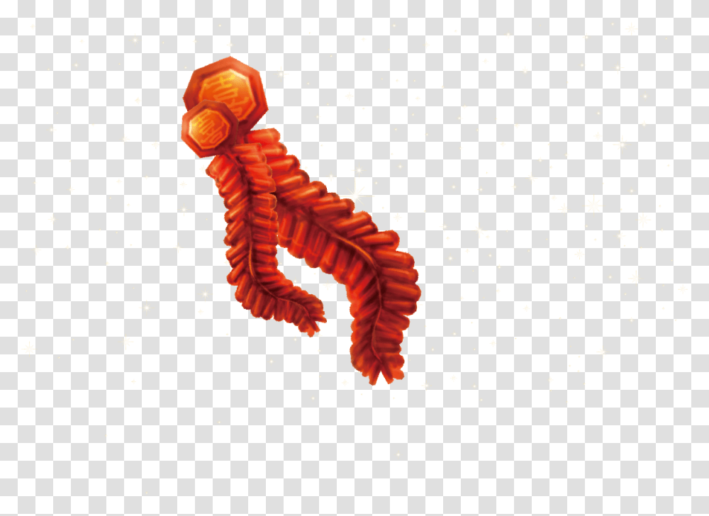 Firecrackers Pic Centipede, Paper, Seahorse Transparent Png