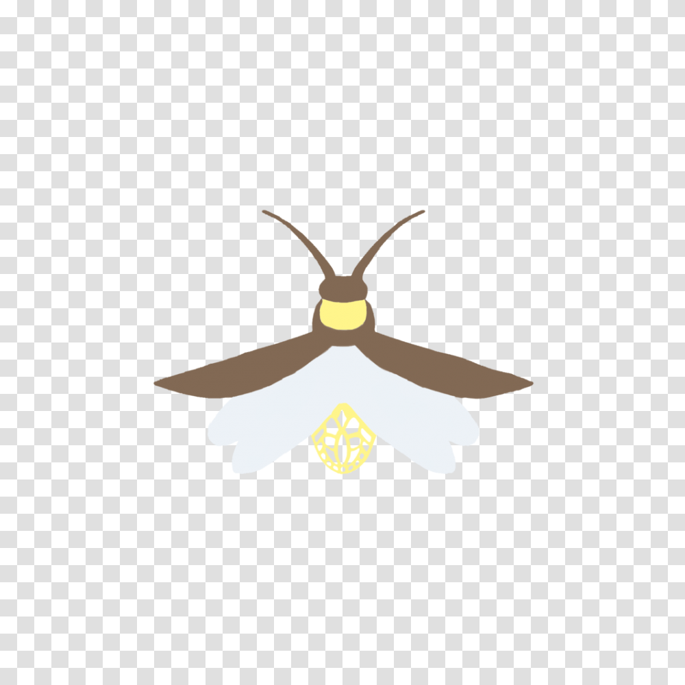 Fireflies Bugs Clip Art, Animal, Invertebrate, Insect, Wasp Transparent Png