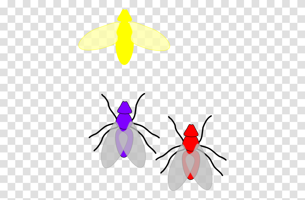 Firefly Bug Clip Art, Animal, Invertebrate, Insect, Bee Transparent Png