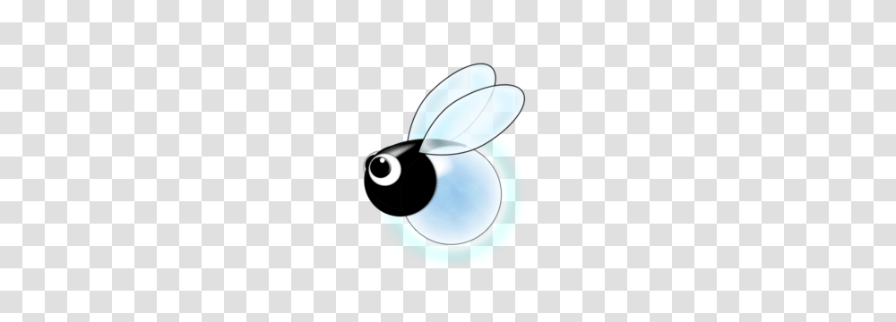 Firefly Clipart, Insect, Invertebrate, Animal, Wasp Transparent Png