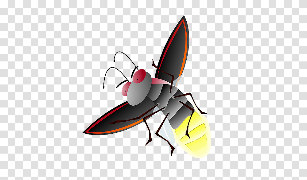 Firefly Firefly Images, Wasp, Bee, Insect, Invertebrate Transparent Png