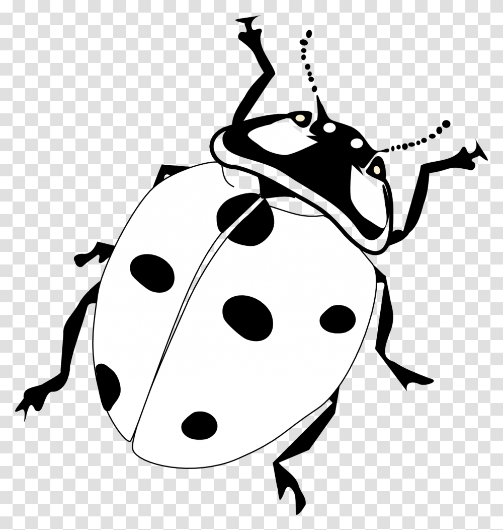 Firefly Insect Realistic Ladybug Coloring Page, Stencil, Snowman, Outdoors, Nature Transparent Png