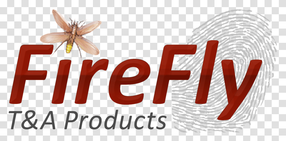 Firefly Systems Damselfly, Wasp, Bee, Insect Transparent Png