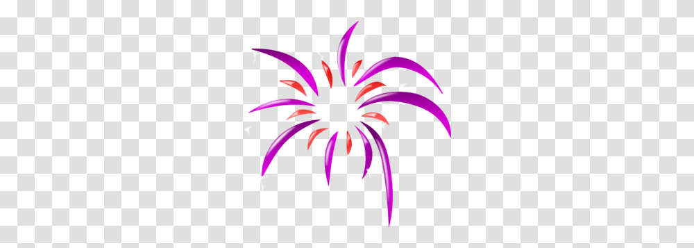 Firework Colors Clip Art, Plant, Hibiscus, Flower, Blossom Transparent Png