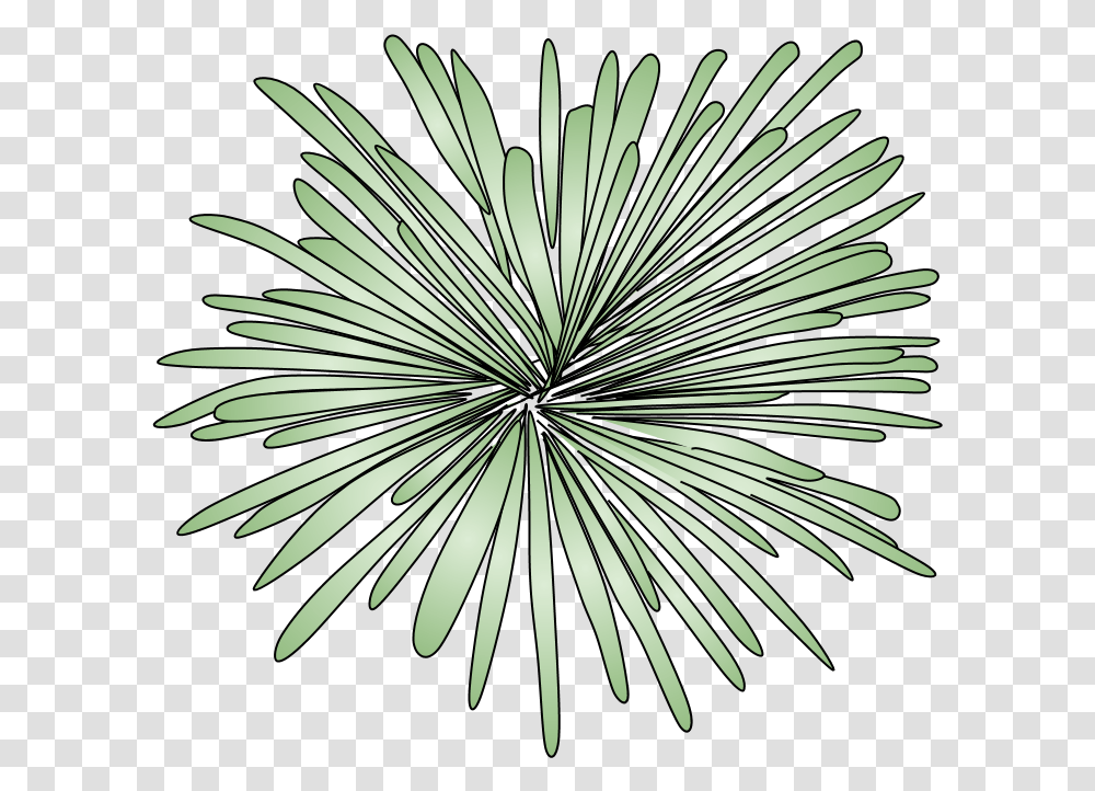Fireworks Burst Style 2 Green Portable Network Graphics, Outdoors, Nature, Plant, Night Transparent Png