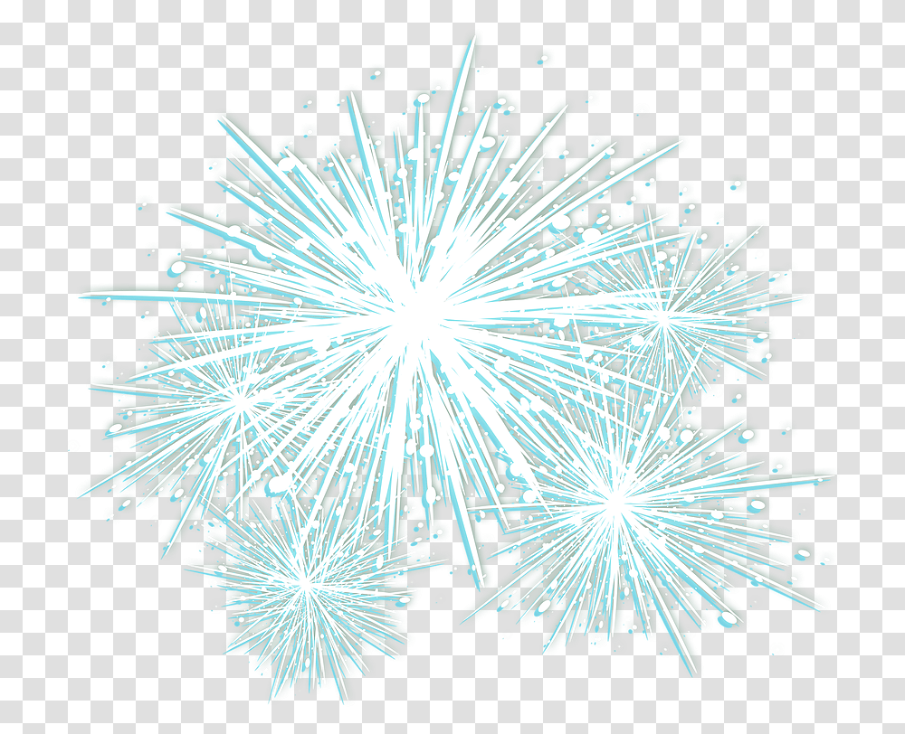 Fireworks, Chandelier, Lamp, Flower, Plant Transparent Png