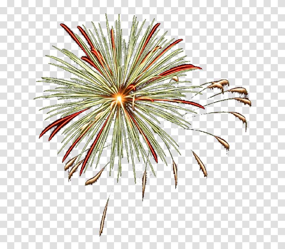 Fireworks Clip Art Firework On Background White Pine, Nature, Outdoors, Night, Plant Transparent Png