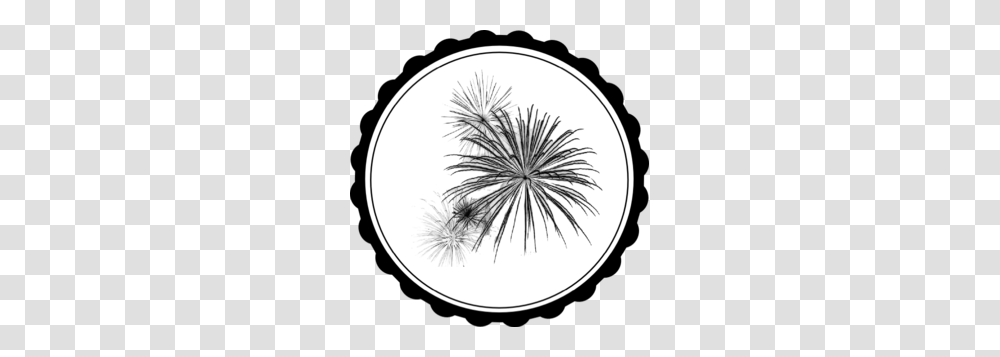 Fireworks Clip Art, Plant, Flower, Blossom, Furniture Transparent Png