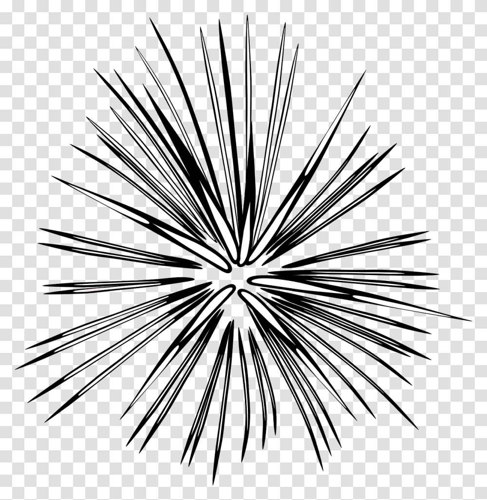 Fireworks Clipart Black And White, Nature, Outdoors, Night, Chandelier Transparent Png