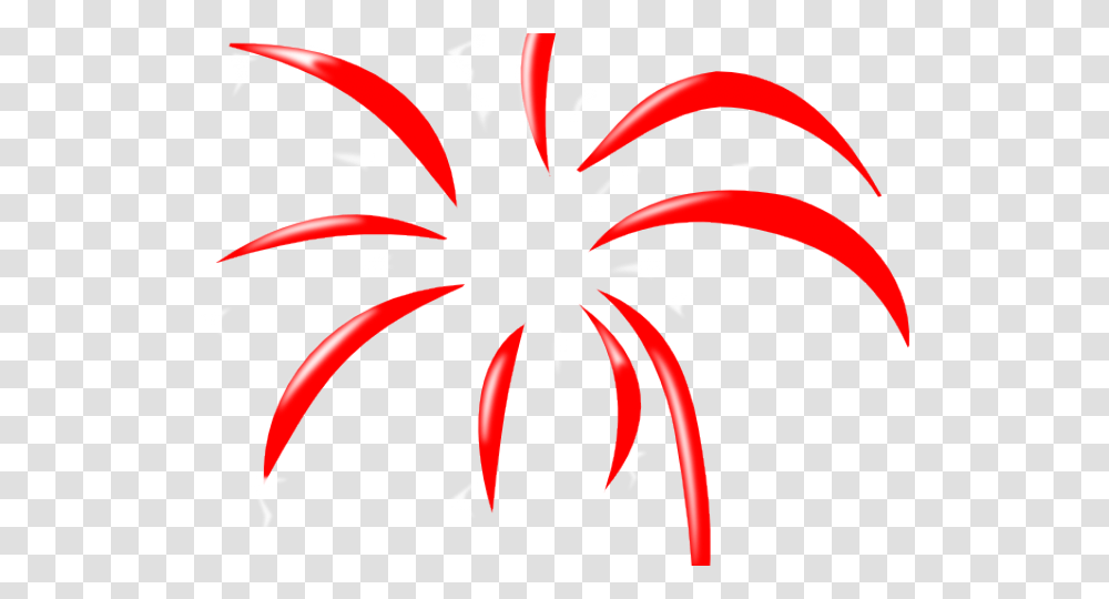 Fireworks Clipart, Plant, Hibiscus, Flower, Blossom Transparent Png