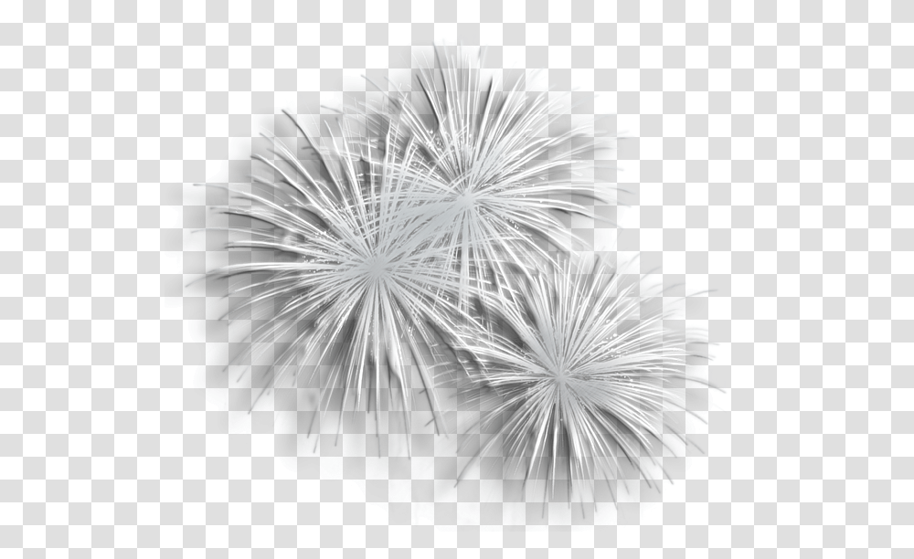 Fireworks Clipart White Background Background White Fireworks, Nature, Outdoors, Night Transparent Png