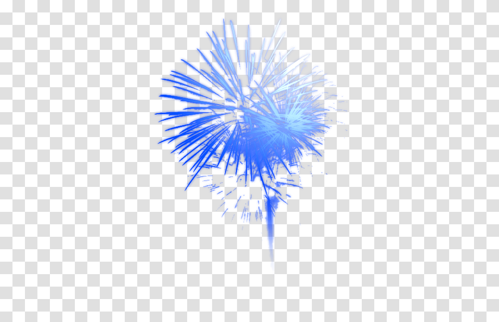 Fireworks Download High Quality 30623 Free Icons And Background Blue Firework, Sea Life, Animal, Invertebrate, Pattern Transparent Png