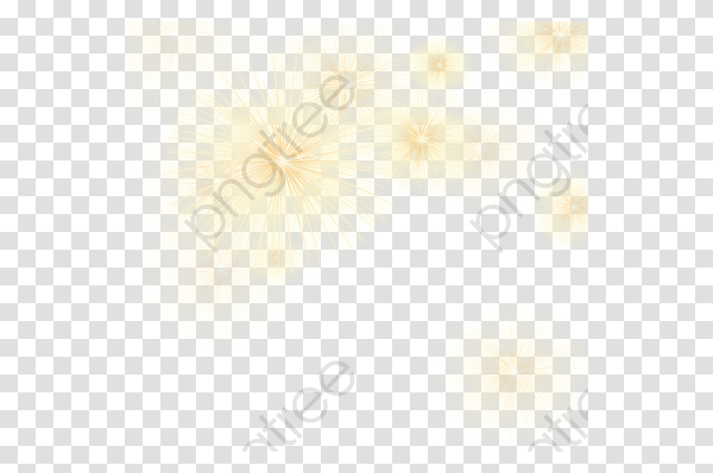 Fireworks Fantasy, Plant, Flower, Blossom Transparent Png