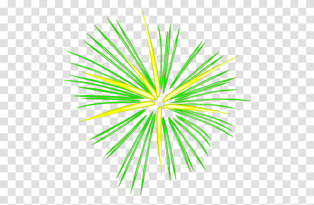 Fireworks Firework Animation For Powerpoint, Nature, Outdoors, Night, Plant Transparent Png