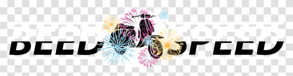 Fireworks, Floral Design, Pattern Transparent Png