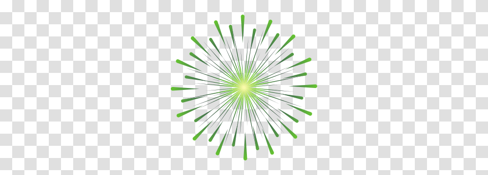 Fireworks, Holiday, Green, Nature, Outdoors Transparent Png