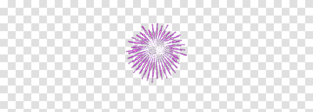 Fireworks, Holiday, Lighting, Nature, Outdoors Transparent Png
